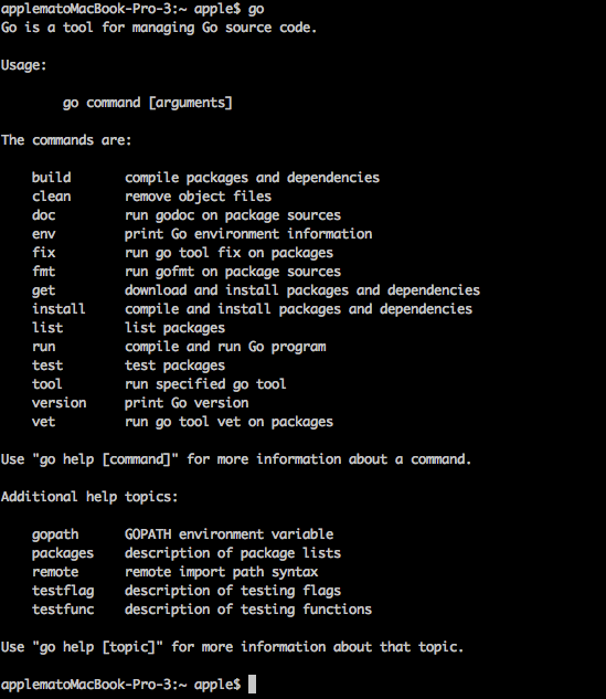 Goのコマンド Build Web Application With Golang